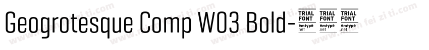Geogrotesque Comp W03 Bold字体转换